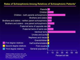 www.schizophrenia.com