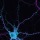 Unprecedented Video of a Neuron Up Close and Personal