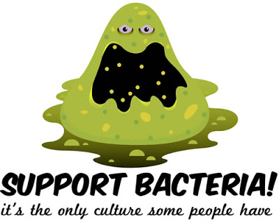 The Secret World of Bacteria