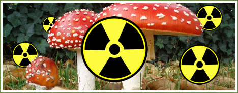 fungus mushroom radioactive 