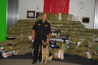 police dog marijuana