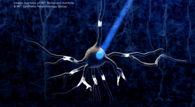 Optogenetics: Your Brain Controlled by Light