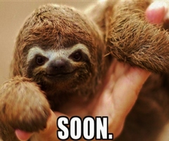 sloth hair slow soon