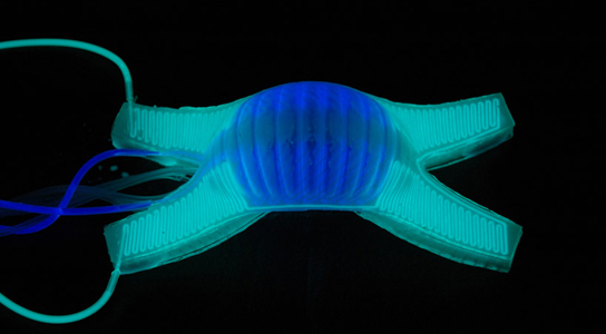self-camouflaging soft robot changing colors